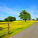 Gnosall fields