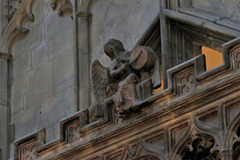 gloucester cathedral (164)