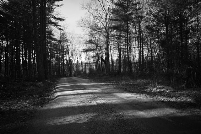 Westford/Moose Meadow Road