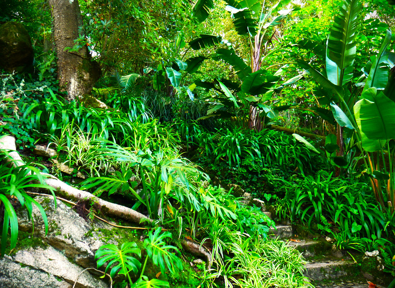 Green Wall
