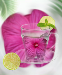 Hibiscus tea Hibiscus tea