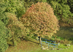 Herbst in Kirchdorf-Süd