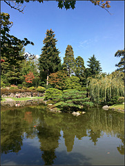 Japanese Garden