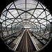 Elbbrücken - Fish Eye View (PiP)
