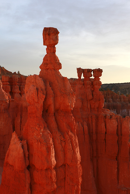 Bryce Canyon Morning