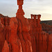 Bryce Canyon Morning