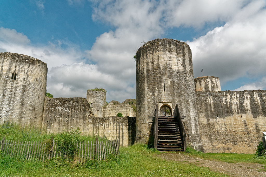 Château du Coudray-Salbart (1)