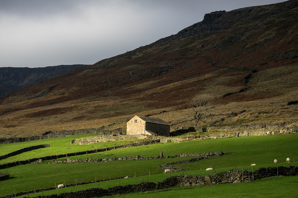 An irresistible Field Barn