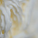 DSCF9024