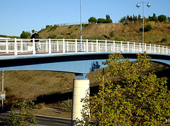 Pedestrian bridge. HFF!