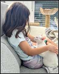 Niña con gato Niña con gato
