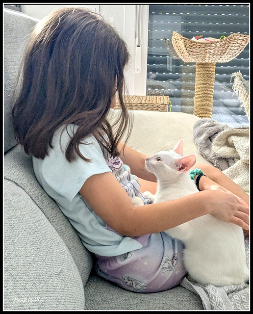 Niña con gato Niña con gato