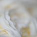 DSCF9025