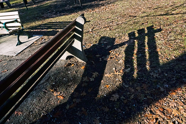 Happy Bench Monday!