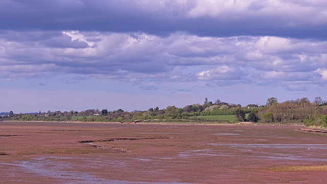 River Exe Estuary, Exmouth, Devon River Exe Estuary, Exmouth, Devon