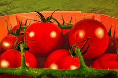 Macro Mondays 426. - 11.08.2025 - Tomate Macro Mondays 426. - 11.08.2025 - Tomate