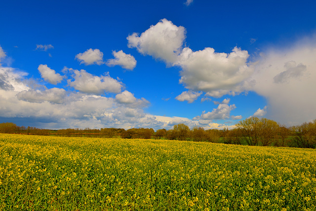 Knightley Farm, Gnosall