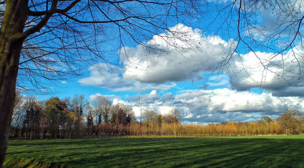 Hogebrugweg