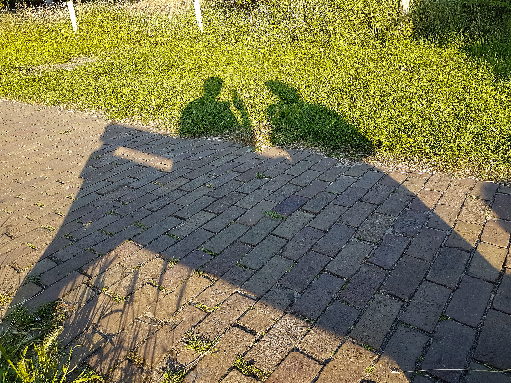 Schattenbank in Schoorl