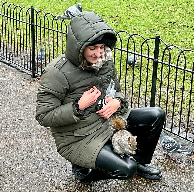 HFF St James' Park London 6th January 2024