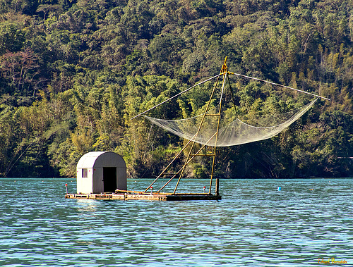 Fischer auf dem Sun-Moon-Lake