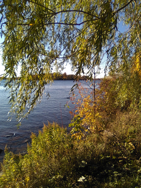 Scène automnale / Autumn scenery (2) (Québec)