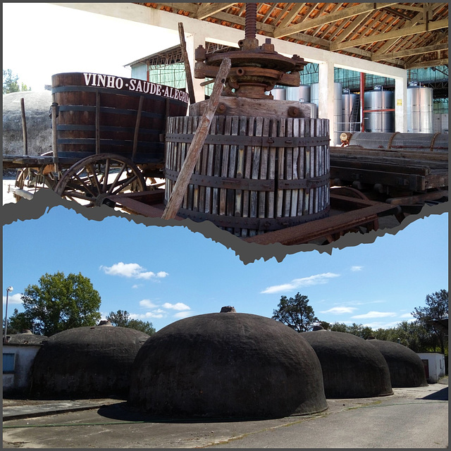 ALCONAÇA WINE MUSEUM - II