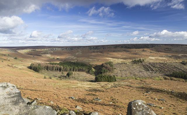 Burbage head from Higger Tor