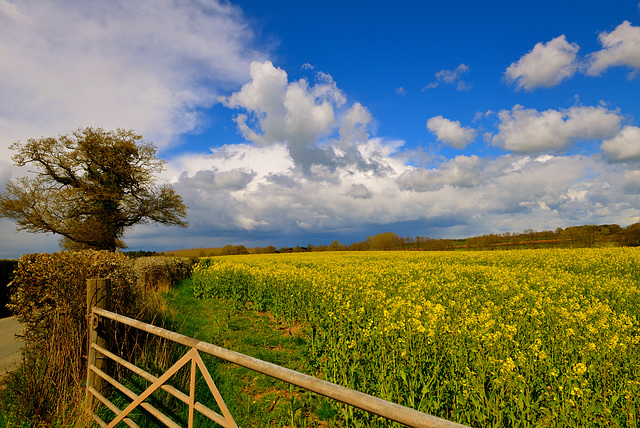 Knightley Farm, Gnosall