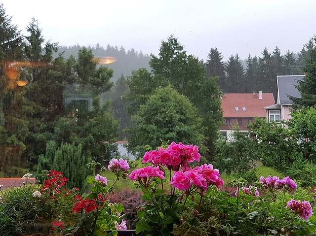 Fensterblick