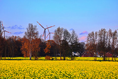 Uelitz unter Wind