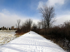 18°F (-8°C) And strong north-westerly wind, winter in Michigan.