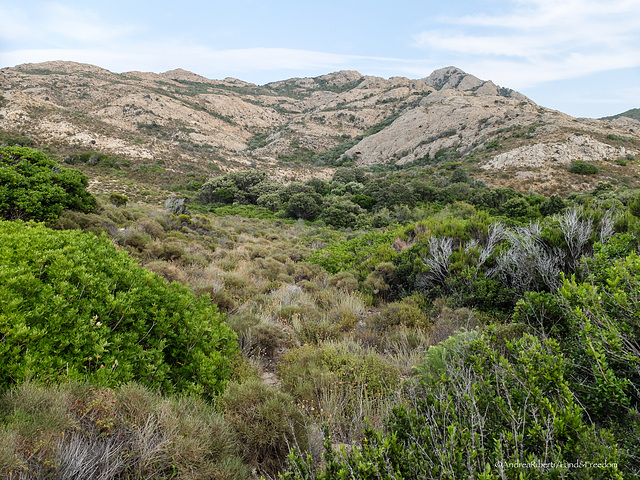 Désert des Agriates, Corse