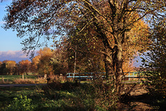 An der Bachbrücke bei Uelitz