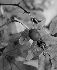 Fall is just around the Corner.