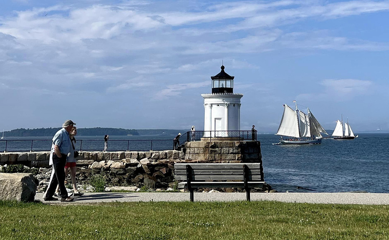Bug Light