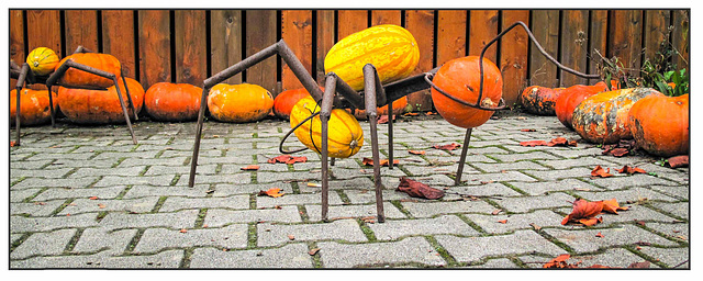 Herbst 24