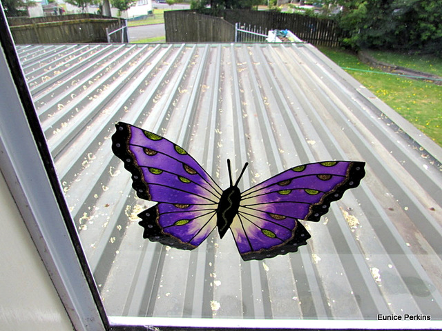 One of My Kitchen Windows