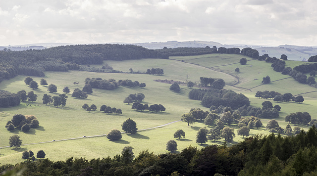 Sunlit Chatsworth fields