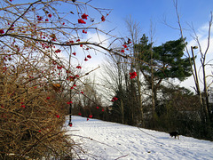 18°F (-8°C) And strong north-westerly wind, winter in Michigan.