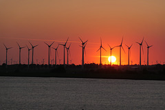 Windpark in der Abendsonne vor Brunsbüttel