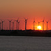 Windpark in der Abendsonne vor Brunsbüttel