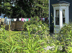 Laundry, South Portland