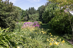 Grüne Wege im Hermannshof