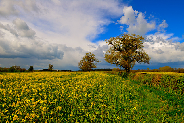 Knightly Farm, Gnosall