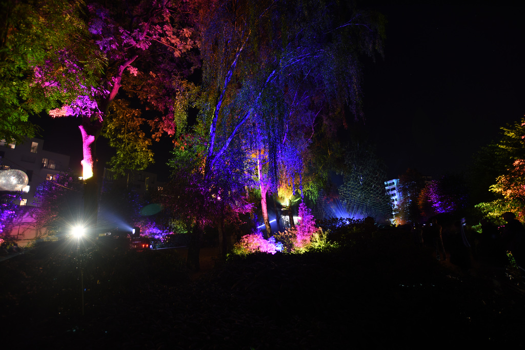 Herbstleuchten im Inselpark Wilhelmsburg