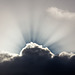 #15 Gudrun-Crepuscular Rays-17th-1 Point