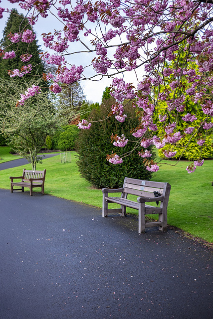 Levengrove Park