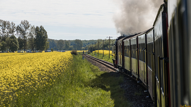 Fahrt durch die Felder im Frühling Fahrt durch die Felder im Frühling
