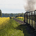 Fahrt durch die Felder im Frühling